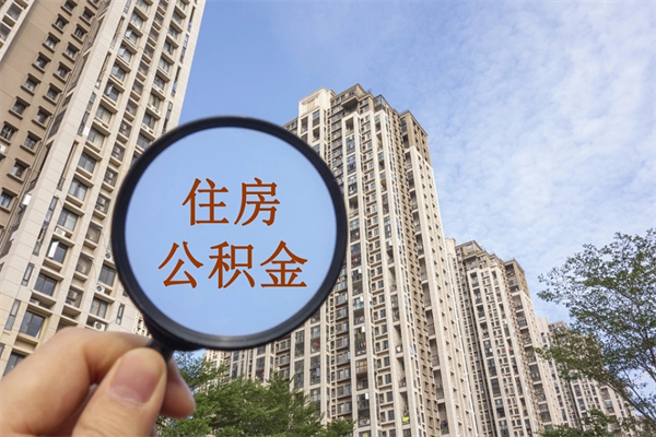 天津公积金归集条件要求-枣庄公积金代办服务
